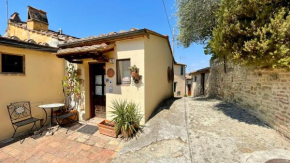 Il Giardino degli Ulivi Chiusure